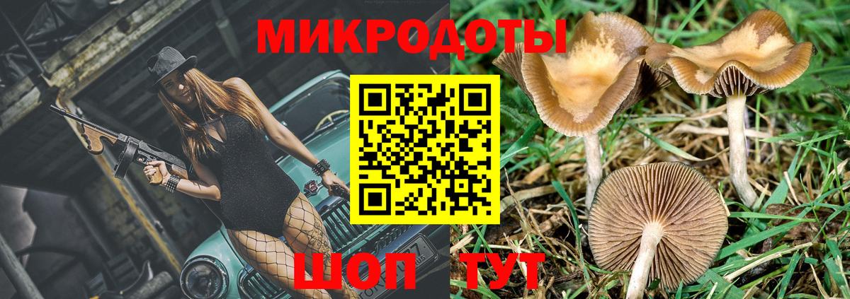 Дербент  Псилоцибиновые грибы Psilocybe  что такое наркотик  Галлюциногенные грибы прущие грибы  Вход с VPN 